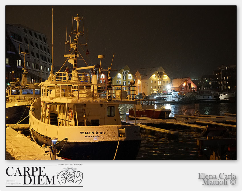 NOTTE DEL NORD.jpg -                                